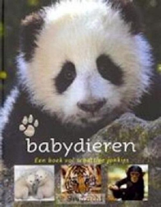 Babydieren