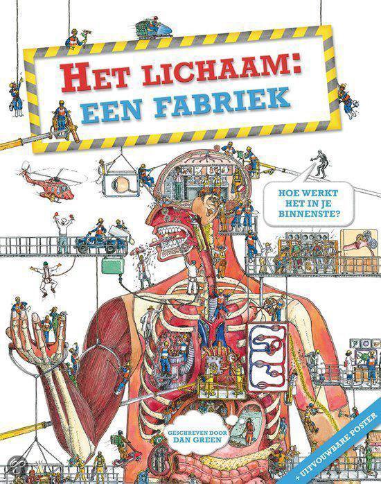 Het lichaam: een fabriek