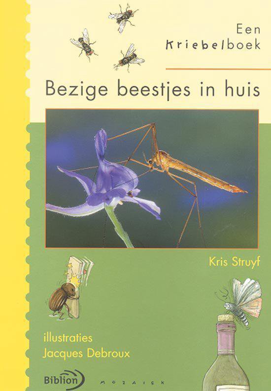 Kriebelboekbezige Beestjes In Huis