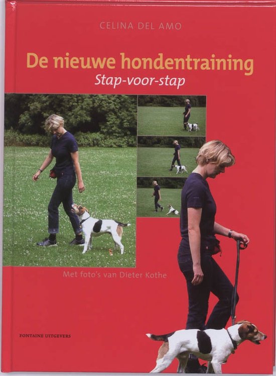 De Nieuwe Hondentraining