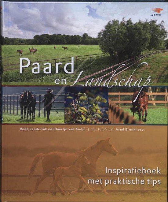 Paard en Landschap