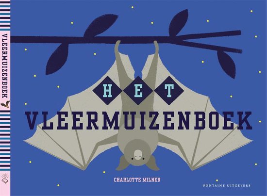 Het vleermuizenboek