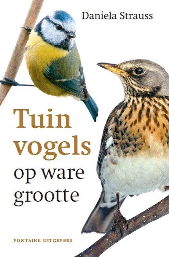 Tuinvogels op ware grootte