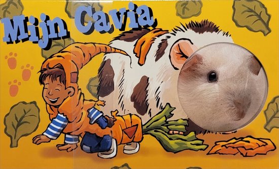 Mijn cavia