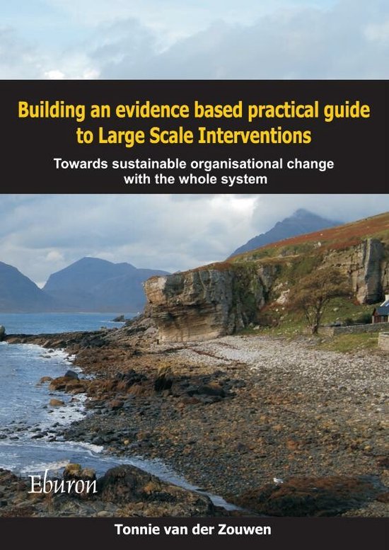 Building an Evidence Based Practical Guide to Large Scale Interventions