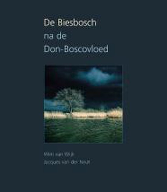 Biesbosch Na De Don Boscovloed