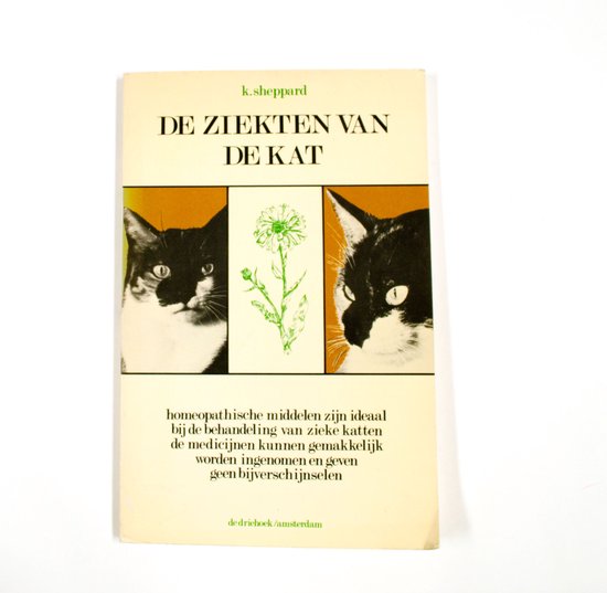 Ziekten van de kat