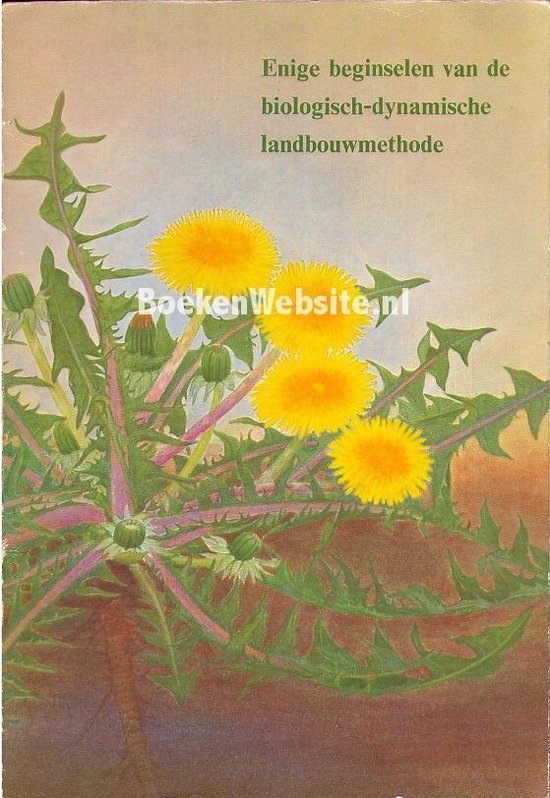 Der Balsamträger