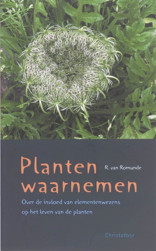 Planten waarnemen