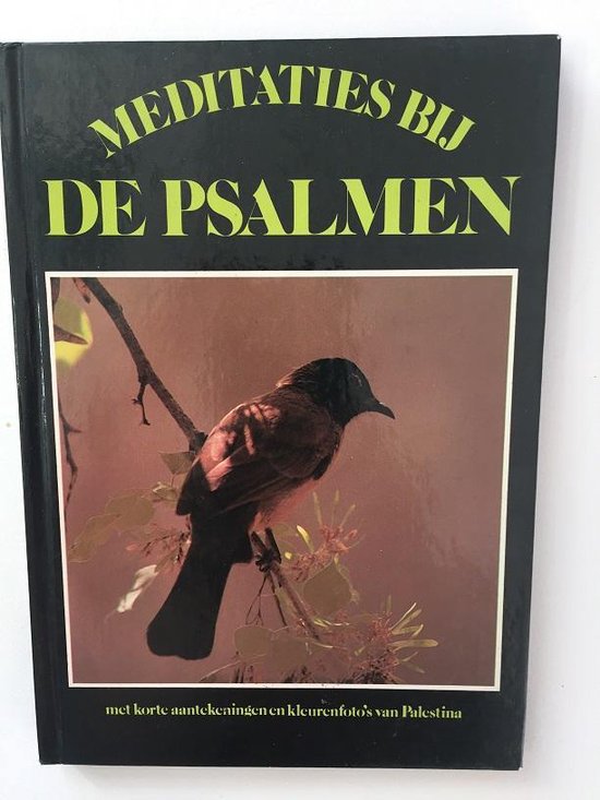 Meditaties Bij De Psalmen - Psalmen 1 - 37