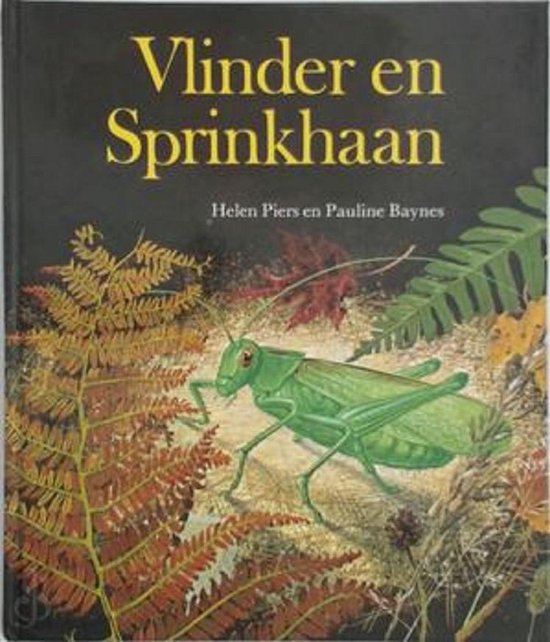 Vlinder en sprinkhaan