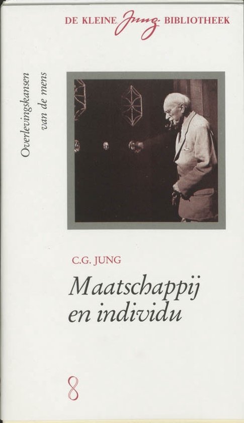 De kleine Jung-bibliotheek - Maatschappij en individu