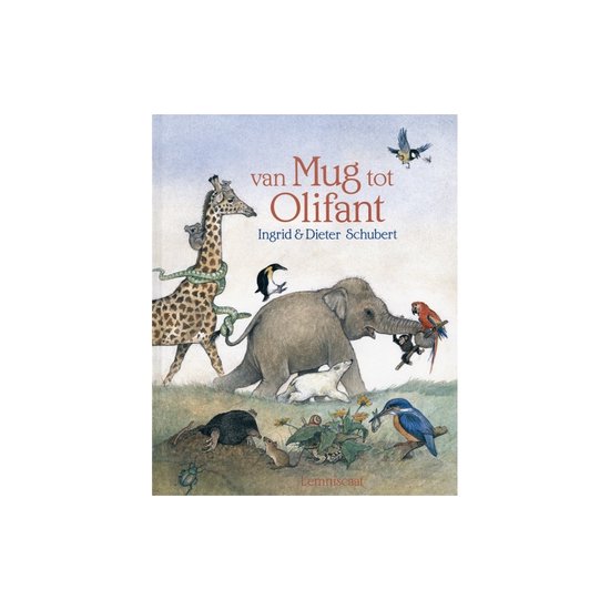 Van mug tot olifant