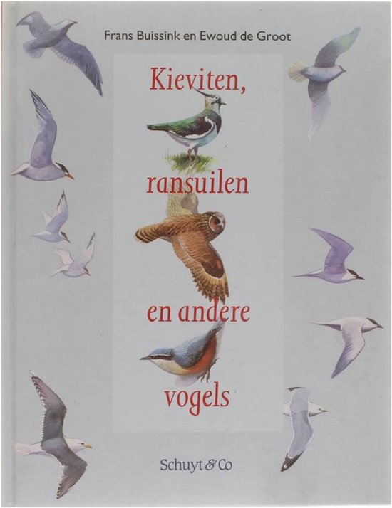 Kieviten Ransuilen En Andere Vogels