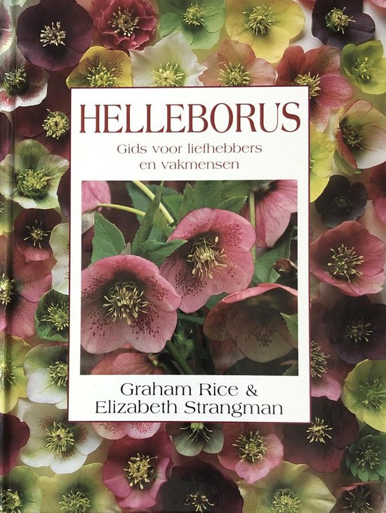 Helleborus