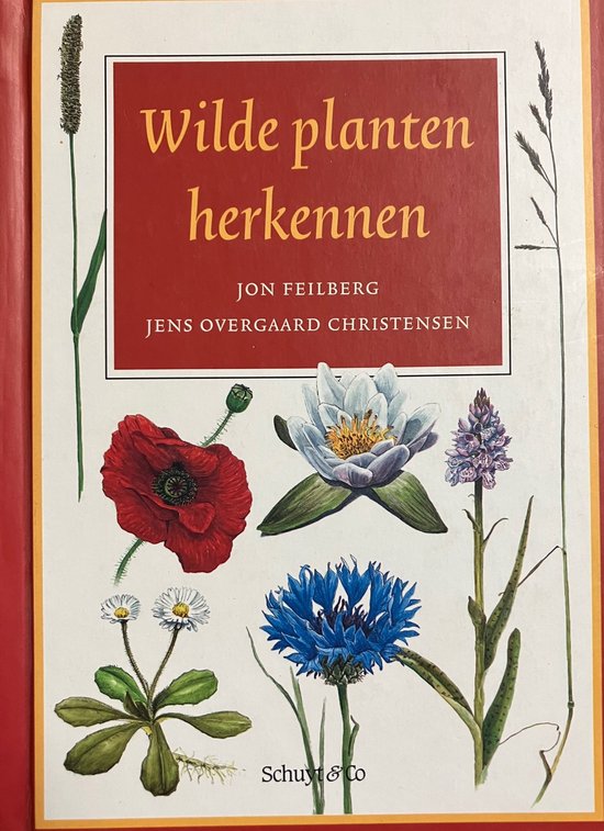 Wilde planten herkennen