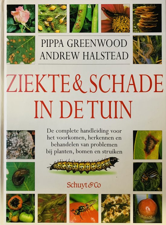 Ziekte En Schade In De Tuin