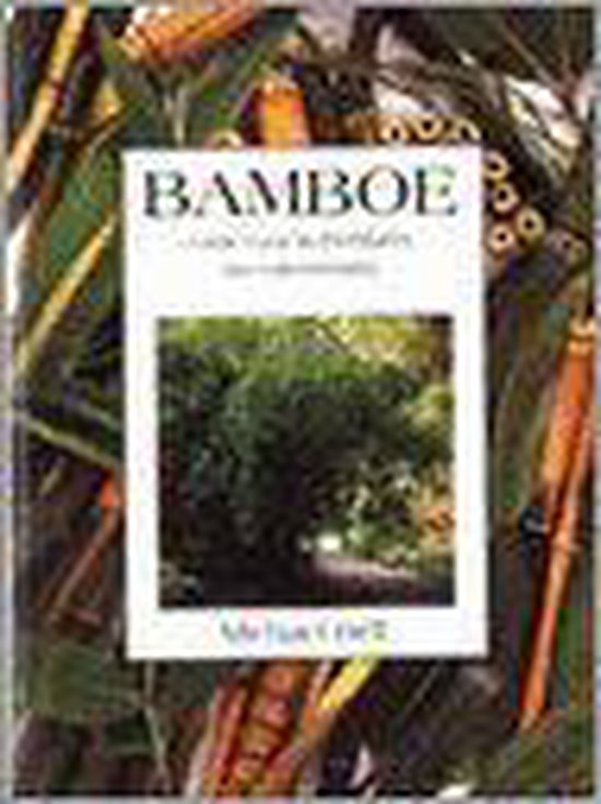 Bamboe