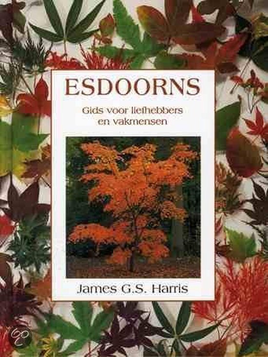 Esdoorns