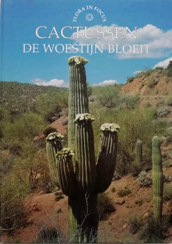 Cactussen