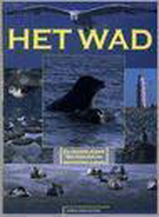 Het wad