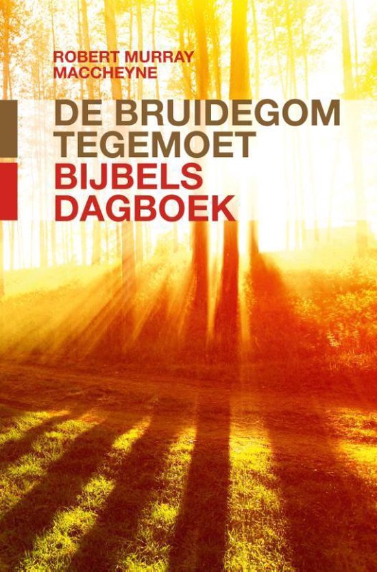 De bruidegom tegemoet