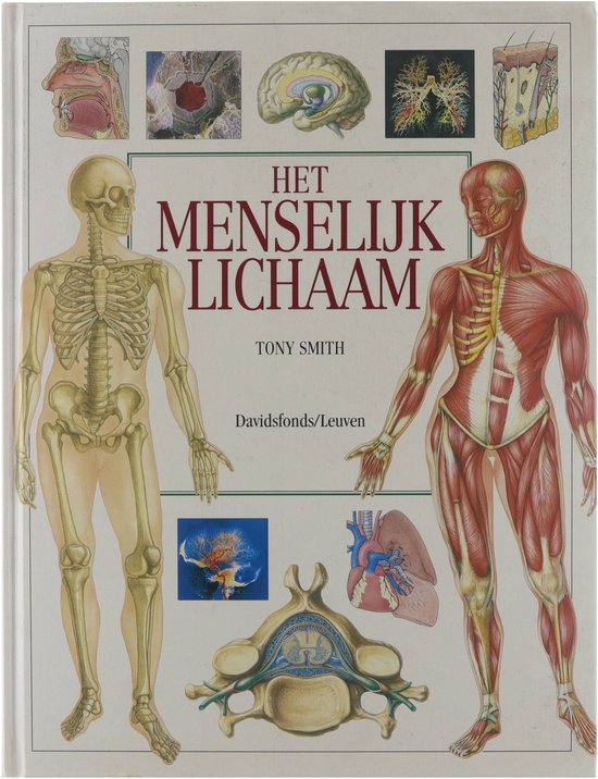 Het menselijk lichaam