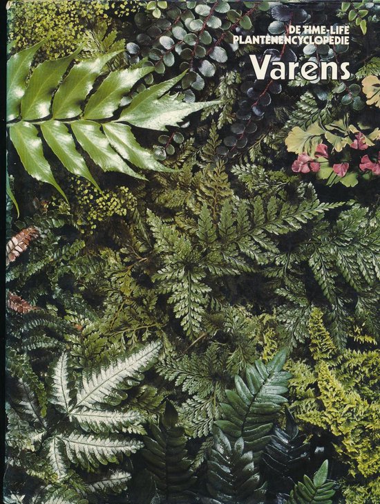 Varens