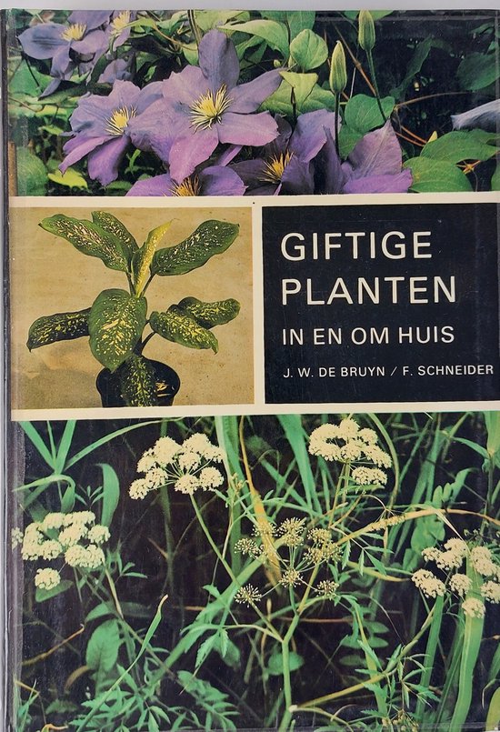 Giftige planten in en om huis