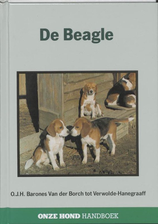 Beagle