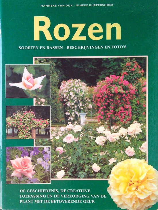 Rozen