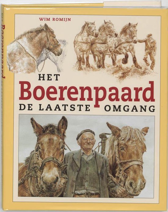 Boerenpaard