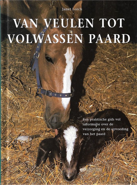 Van Veulen Tot Volwassen Paard