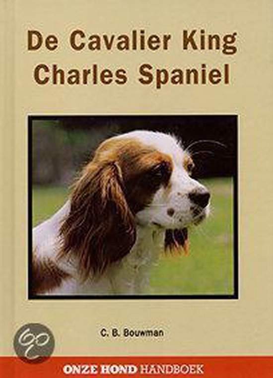 Cavelier king charles spaniel