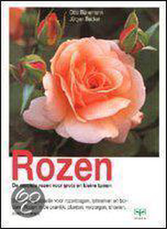 Rozen