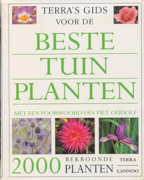 Terra's gids voor de beste tuinplanten