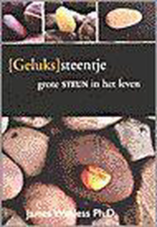 (Geluks)Steentje