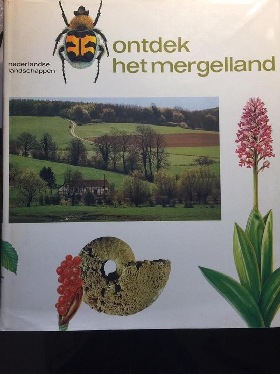 Ontdek het mergelland