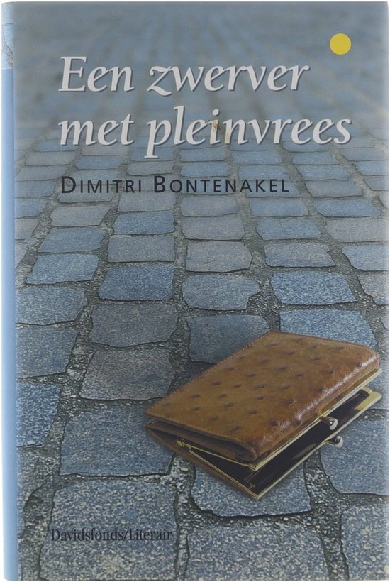 Zwerver Met Pleinvrees