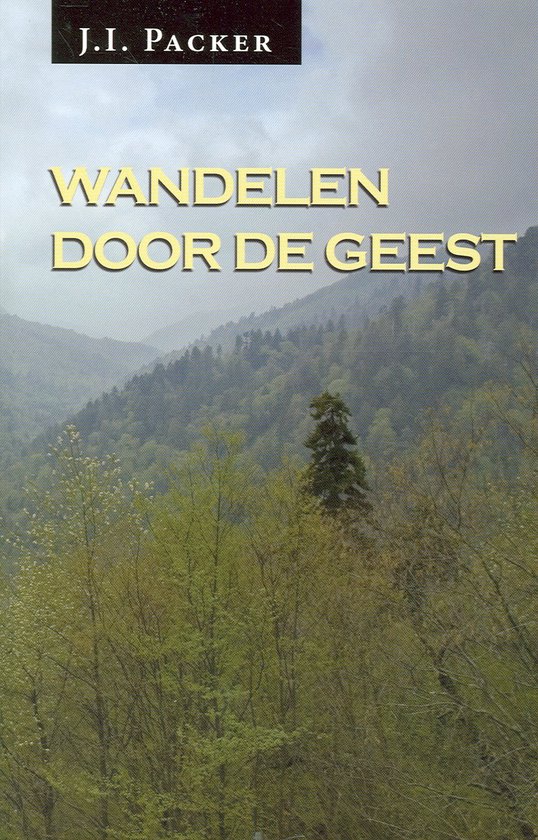 Wandelen door de Geest