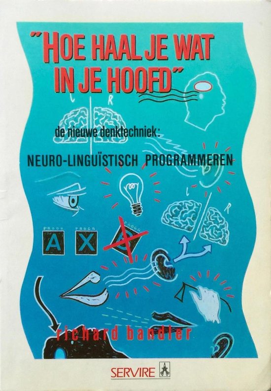 Hoe haal je wat in je hoofd - Richard Bandler