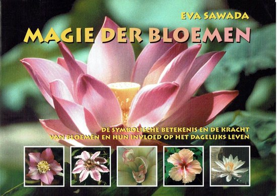 Magie Der Bloemen