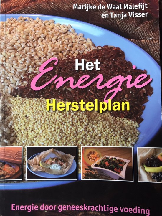 Het Energie Herstelplan