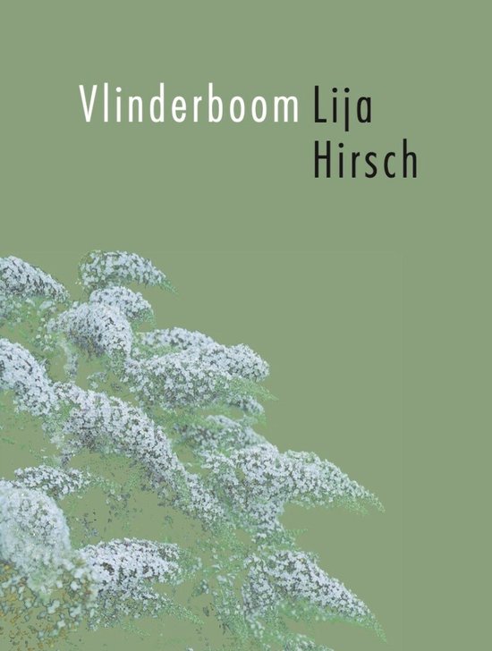 Vlinderboom