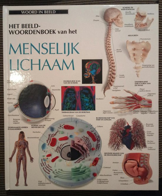 Beeldwoordenboek-menselyk lichaam