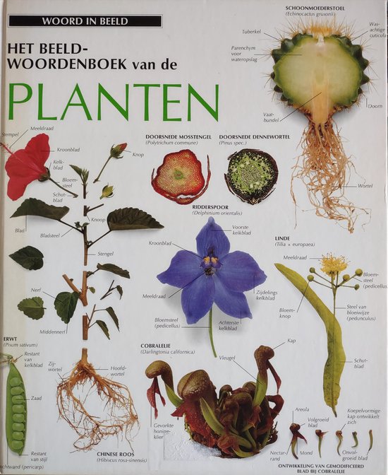 Het Beeldwoordenboek van de planten