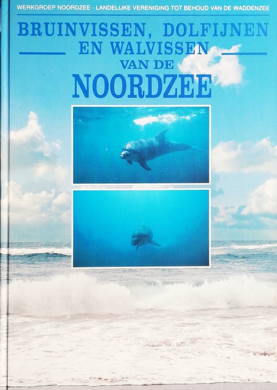 Bruinvissen, Dolfijnen en Walvissen van de Noordzee