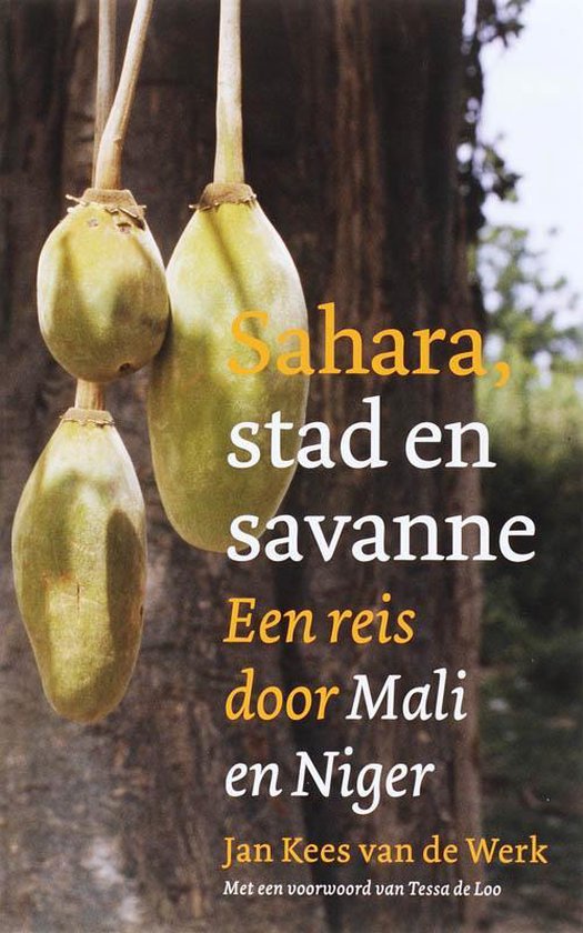 Sahara, Stad En Savanne