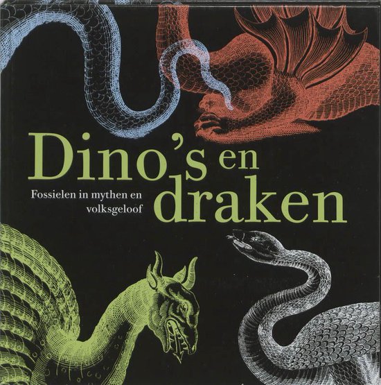 Dino's en draken