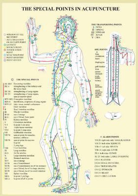 Special Points in Acupunture -- A4